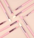 10pcs Pink Eye Makeup Brush Set