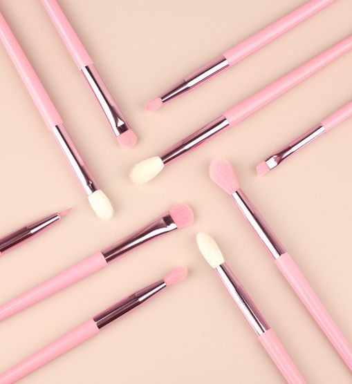 10pcs Pink Eye Makeup Brush Set