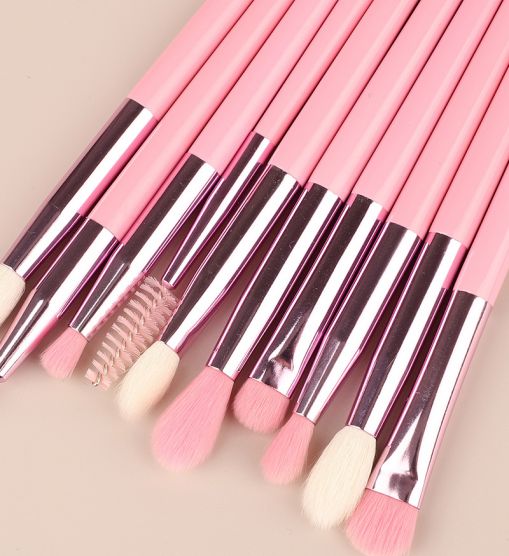 10pcs Pink Eye Makeup Brush Set