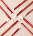 10pcs Red Eye Makeup Brush Set